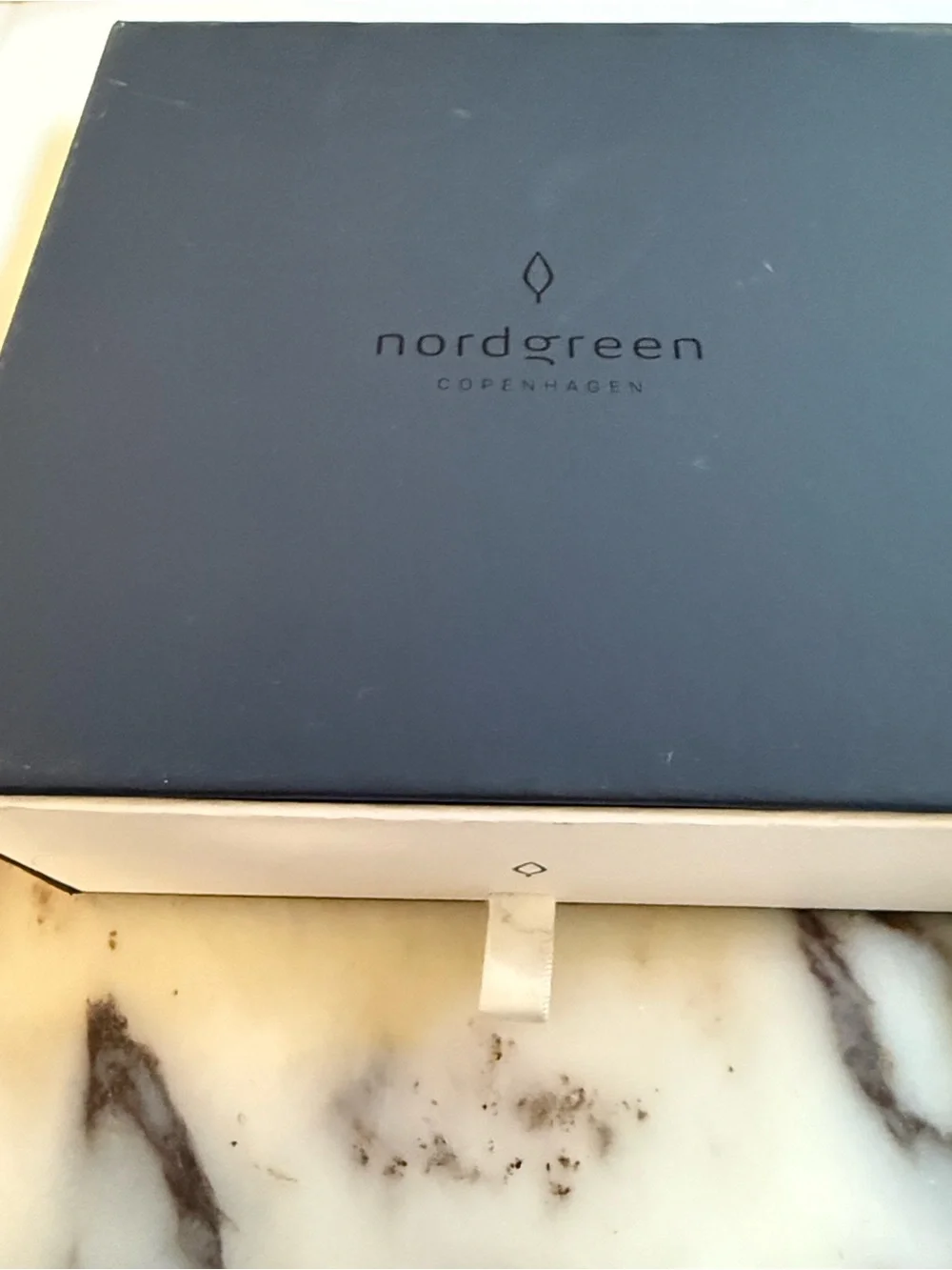 Nordgreen Native 36mm Women's Watch — Black Leather Strap & Gold Case